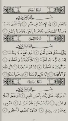 Quran and Sunnah android App screenshot 12